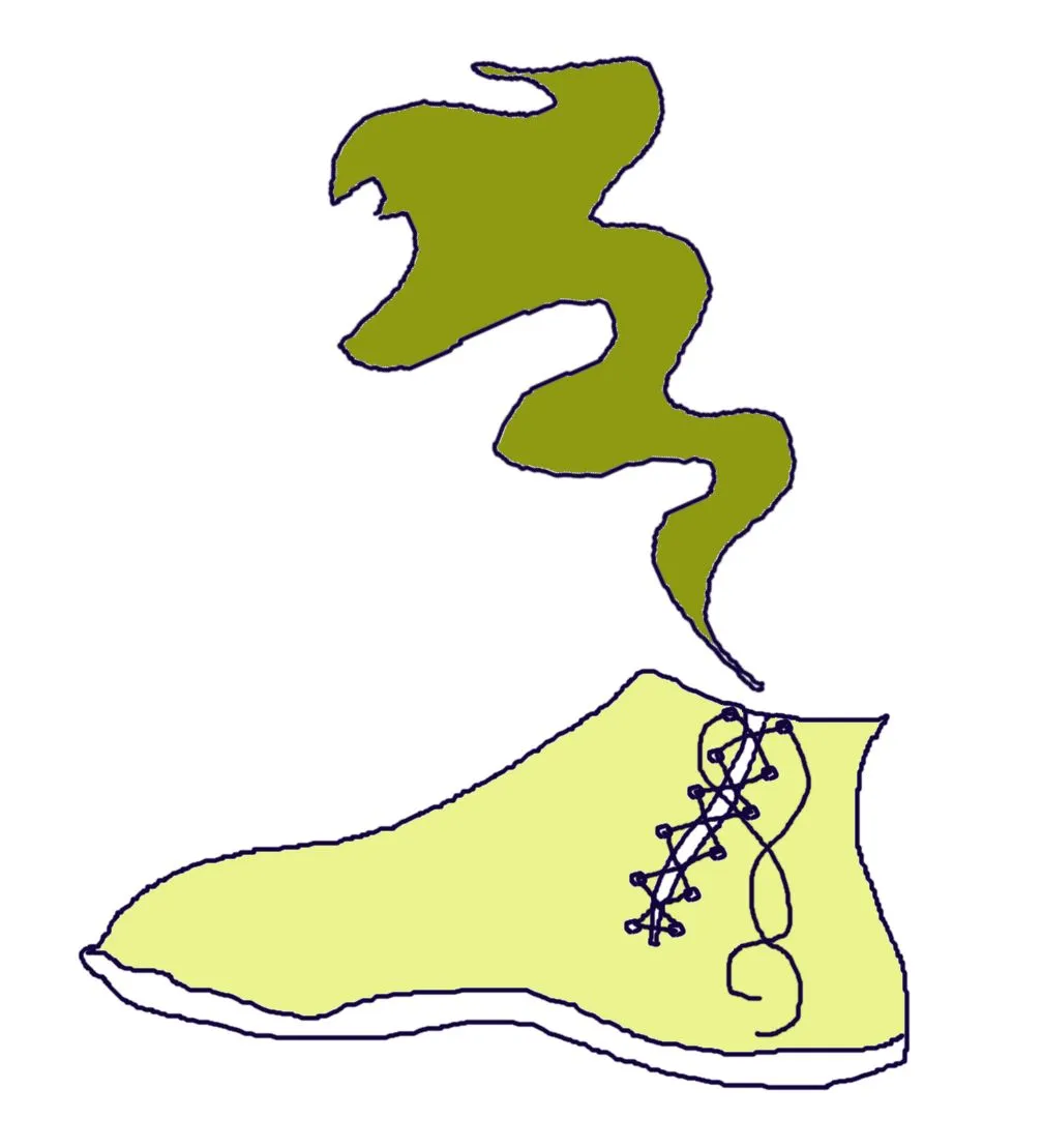 the prince finds a slipper